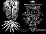 Tree_of_Life.jpg image by asrogoth